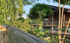Lake Side - Lângă Lac